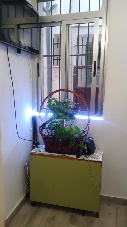 Apartamento Alicia 马德里 外观 照片